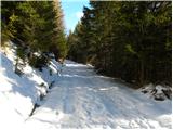 Fusine Laghi - Kopa / Monte Coppa